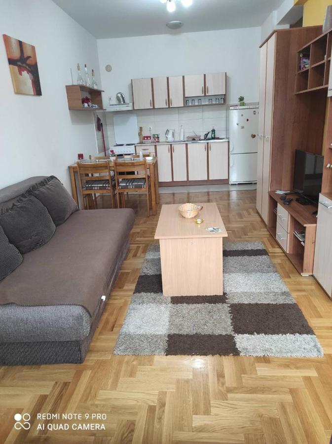 Apartman Marina Sa Garazom Novi Sad Luaran gambar